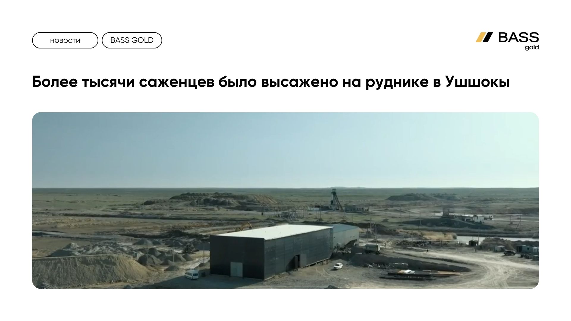 bassholding news image